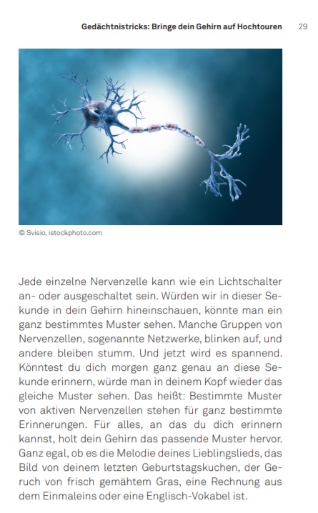 Neuronen